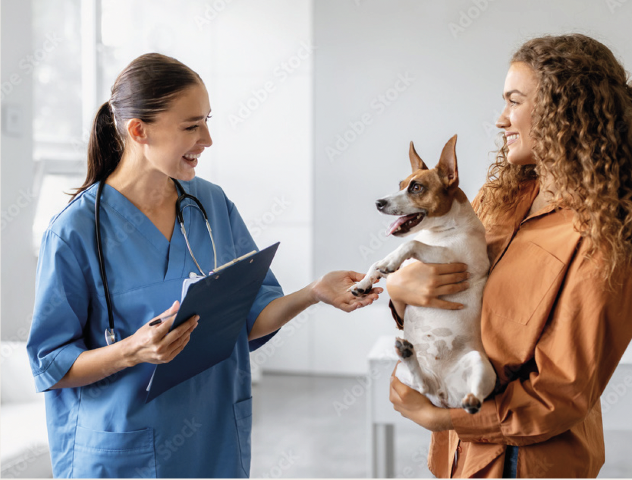 Screenshot 2024-12-06 at 17.04.09