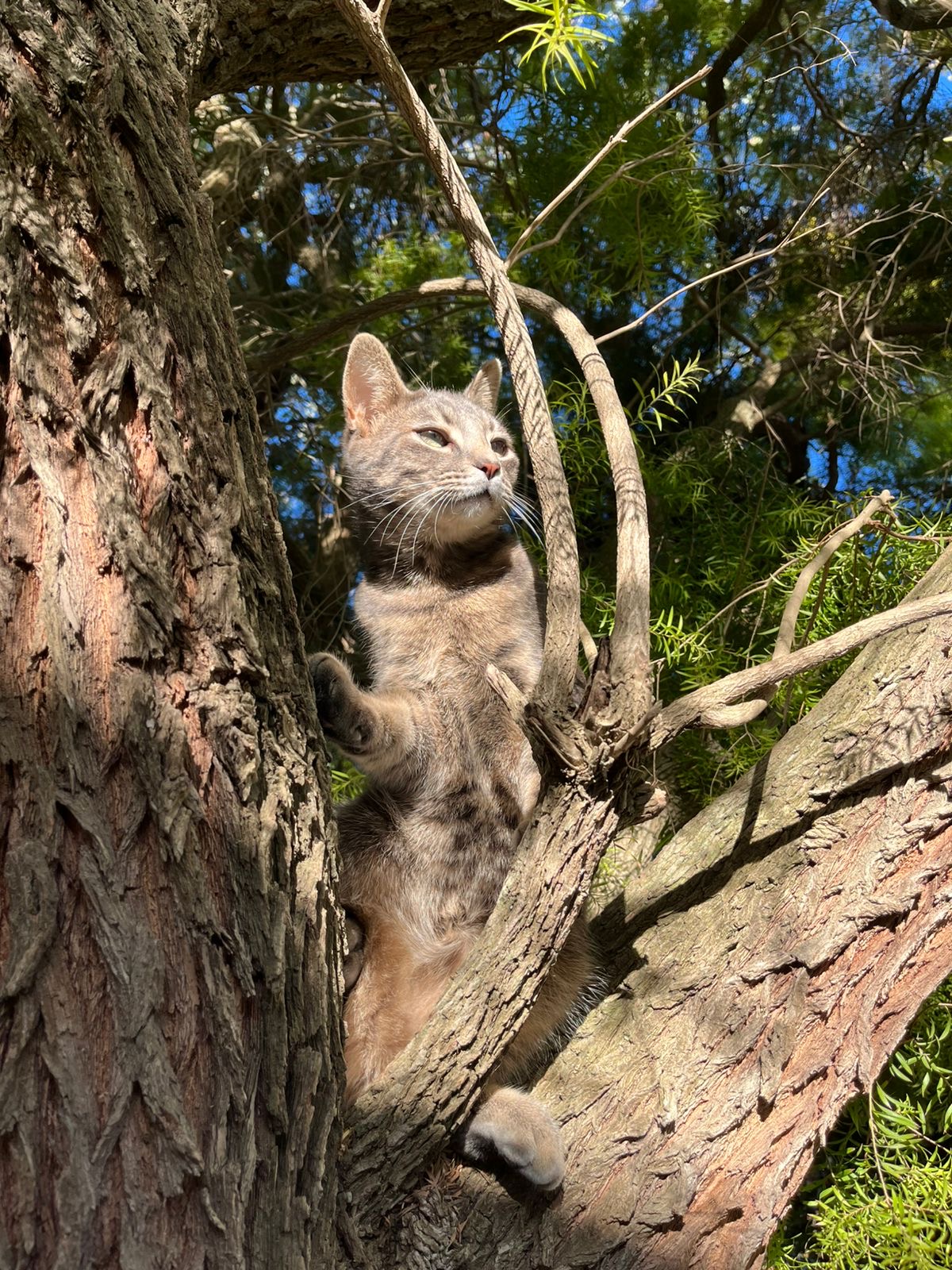 ffe814b7-d30c-4fe7-8855-ccd21b996a58