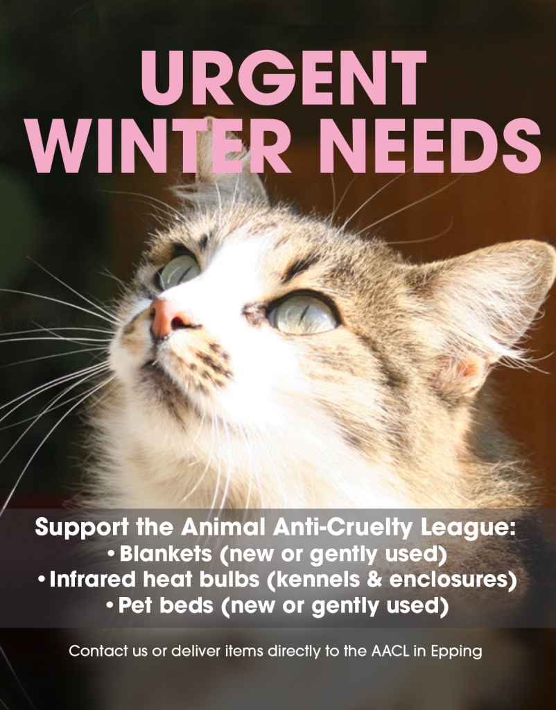 newsletter-instagram-post