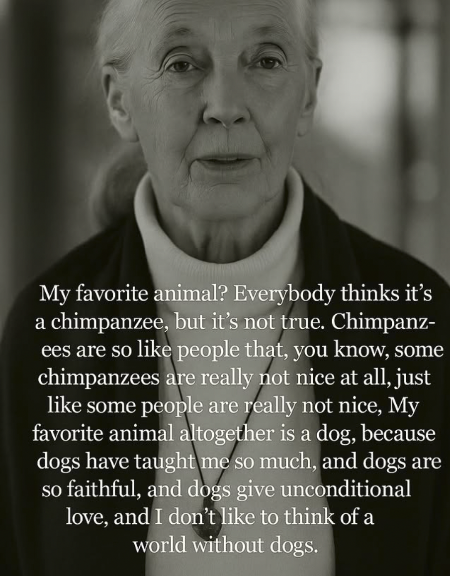 Screenshot 2025-10-07 at 08.15.35