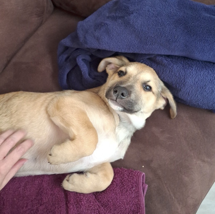 Screenshot 2025-10-07 at 10.06.33