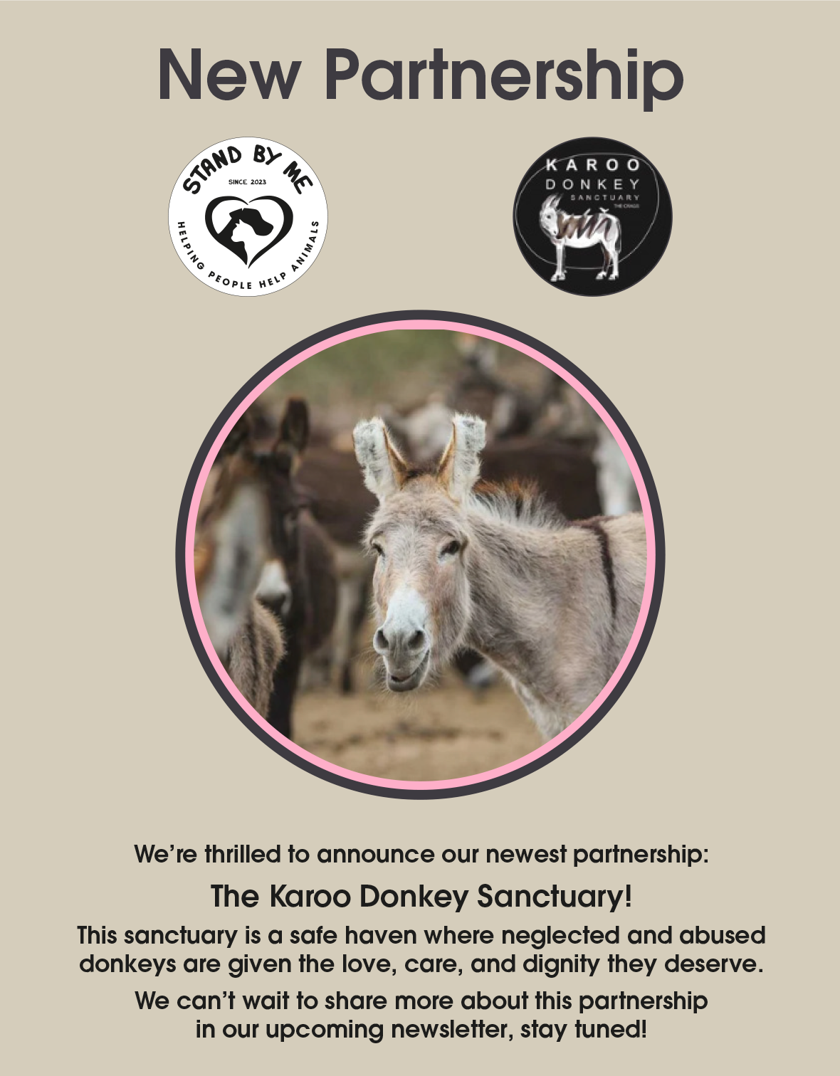 news---donkey-sanctuary