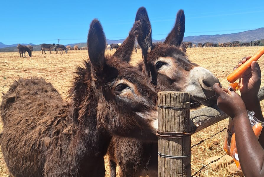 newsletter-2025_main