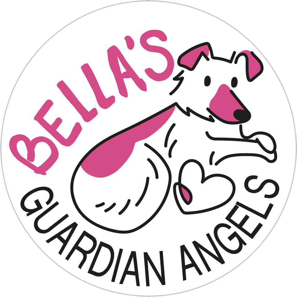 Partners-bellasguardianangels-logo-transparent