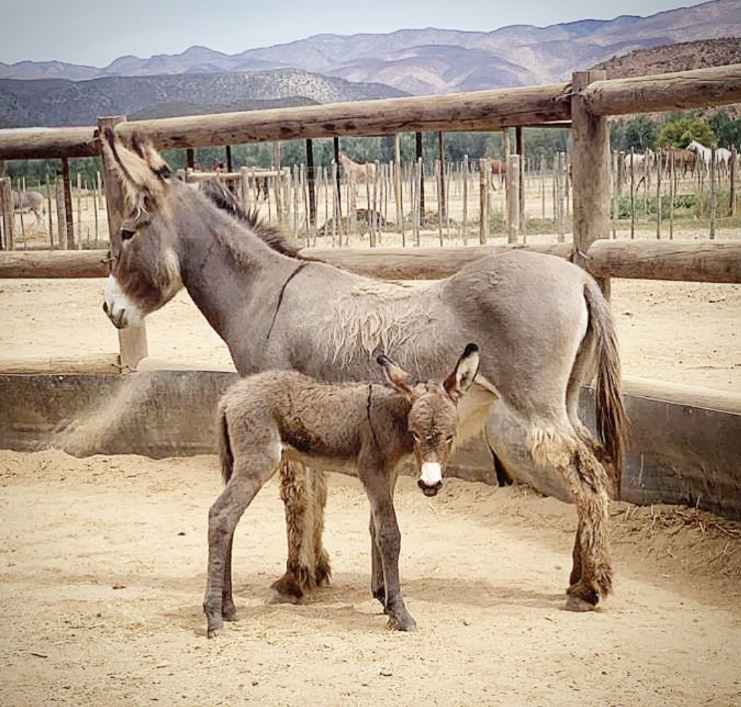 Screenshot 2026-03-25 at 09.12.59