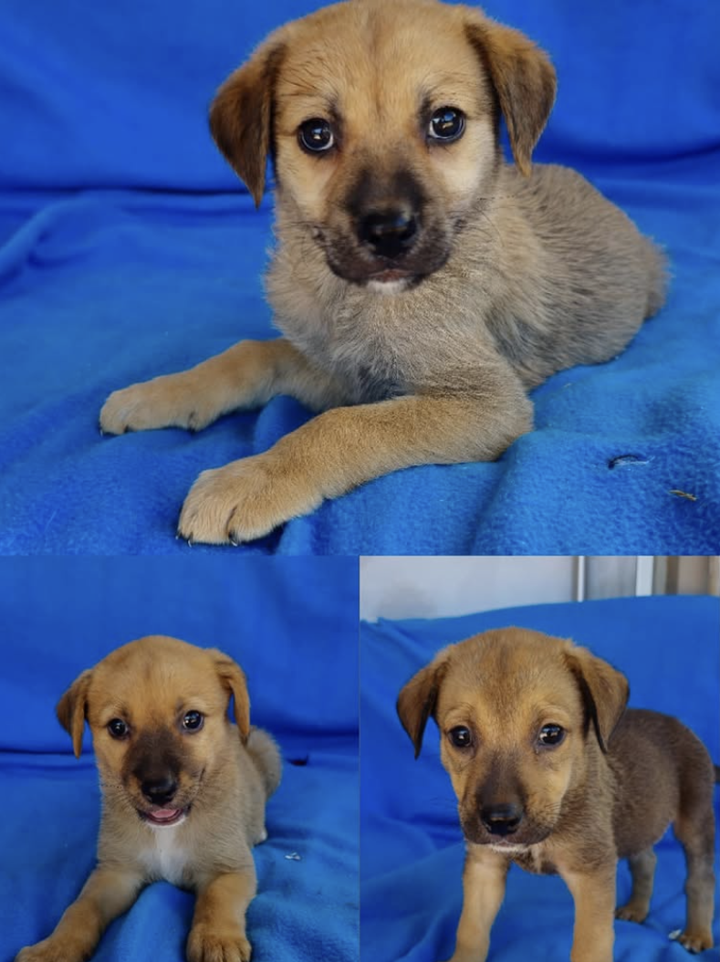 Screenshot 2026-03-25 at 09.23.29