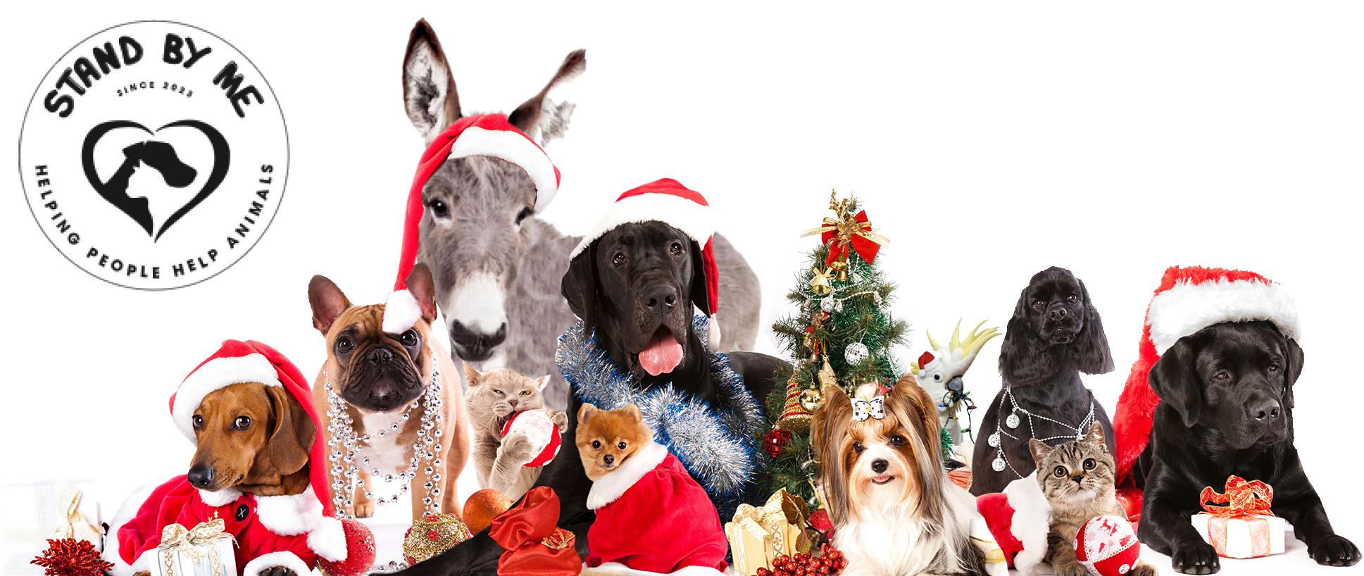 newsletter header christmas